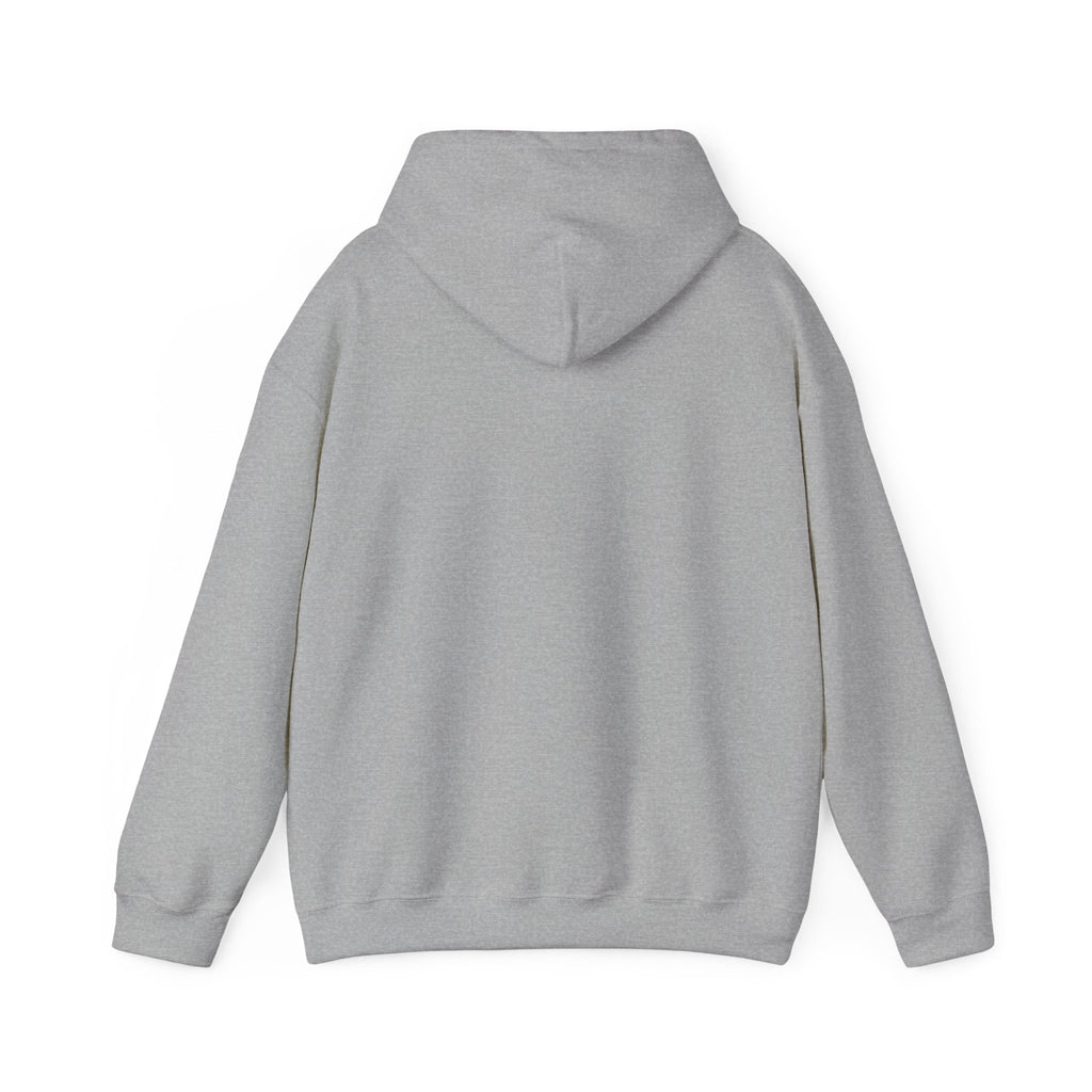 Robotics Is The Future Hoodie – Tech Enthusiast Robot Hoodie