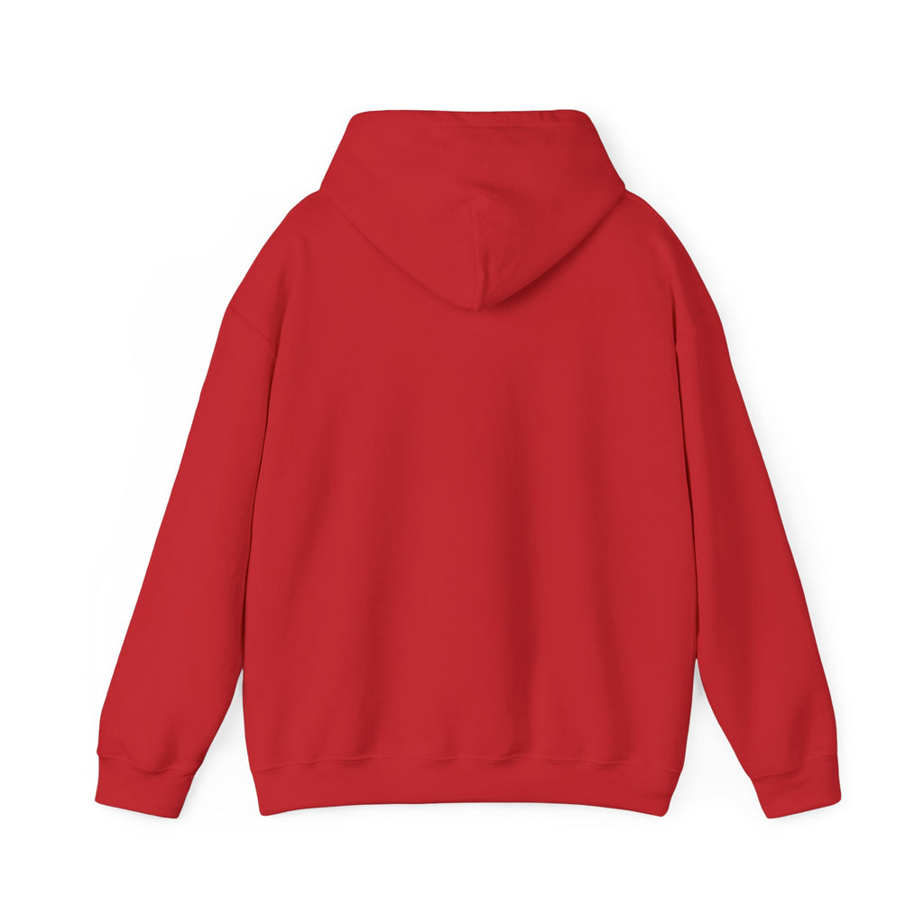 Robotics Is The Future Hoodie – Tech Enthusiast Robot Hoodie