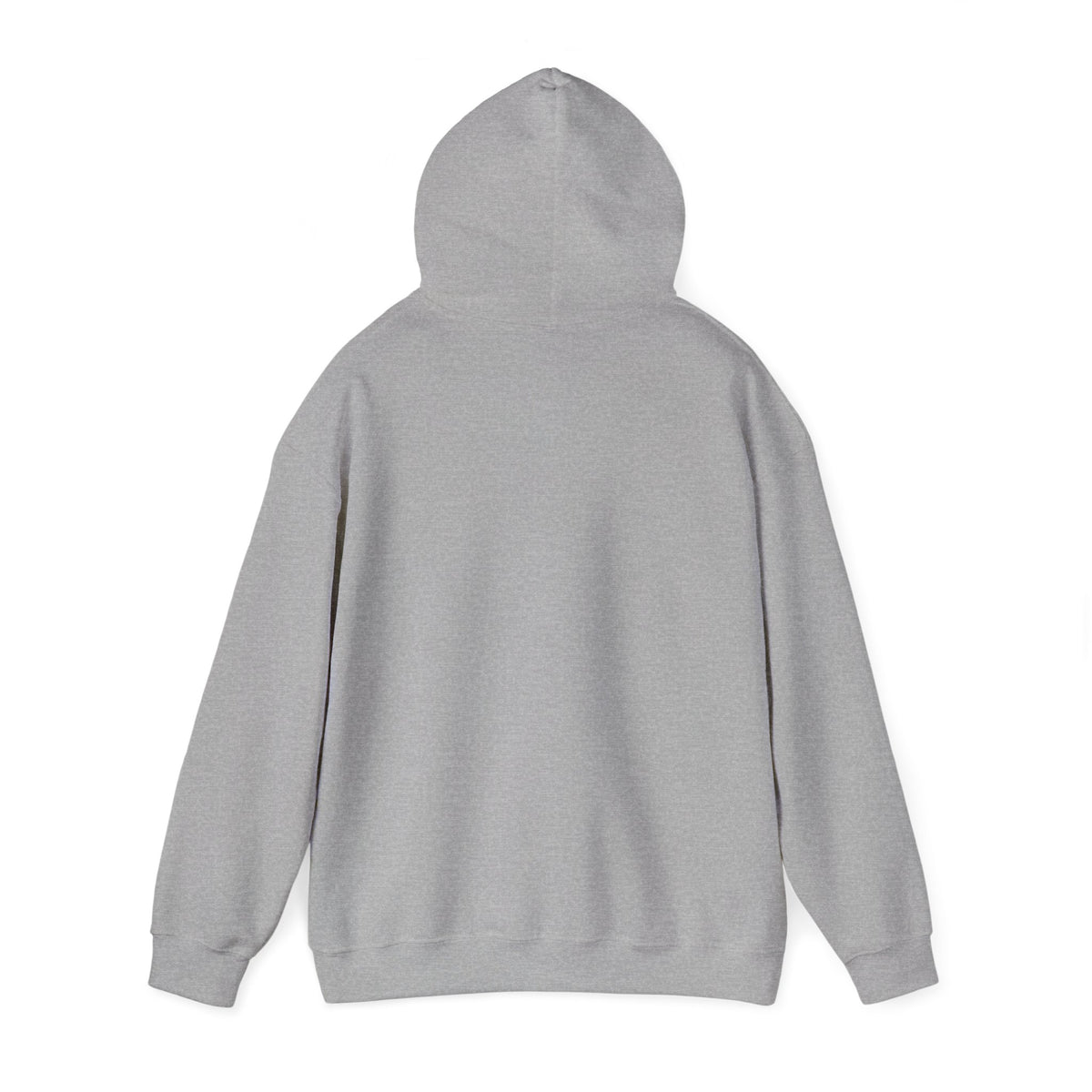 Robotics Is The Future Hoodie – Tech Enthusiast Robot Hoodie