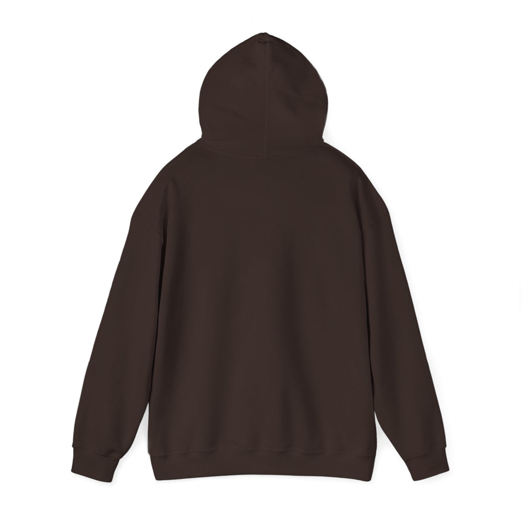 Robotics Is The Future Hoodie – Tech Enthusiast Robot Hoodie